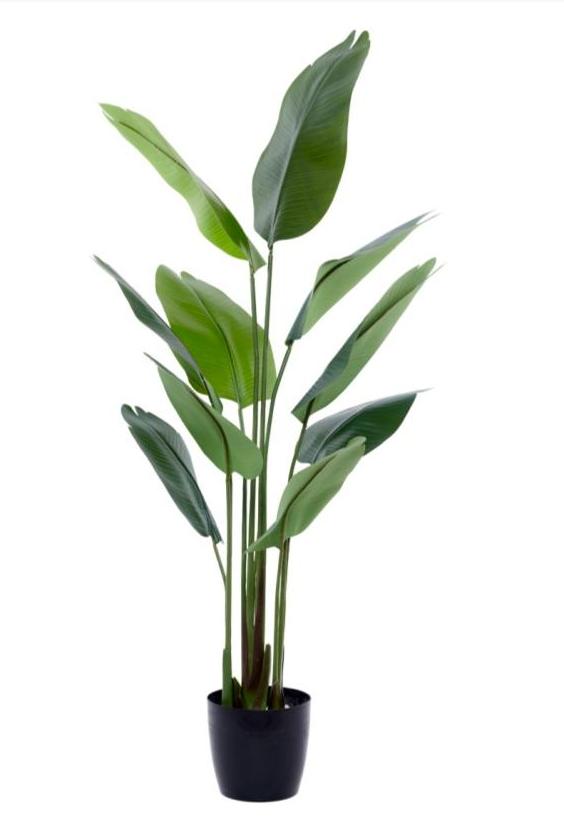 Artificial Plants Decor