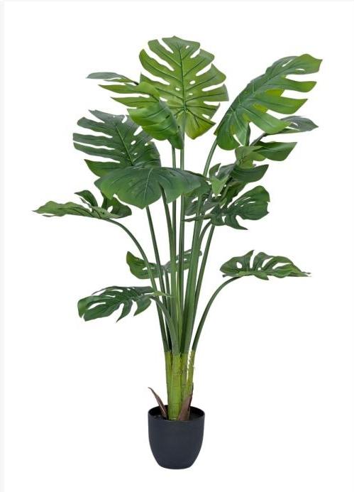 Features Image